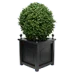 Planter & Potter