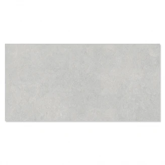 Gulvflis <strong>Monte</strong>  Lys Grå Matt 60x120 cm