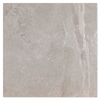 Gulvflis <strong>Biscay</strong>  Ash Matt 120x120 cm