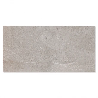 Gulvflis <strong>Biscay</strong>  Ash Matt 60x120 cm