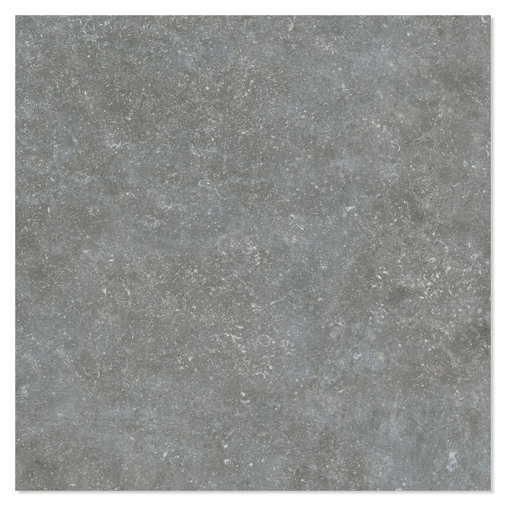 Gulvflis Urbanica Grå Matt 60x60 cm