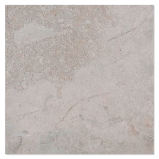 Gulvflis <strong>Biscay</strong>  Ash Matt 60x60 cm