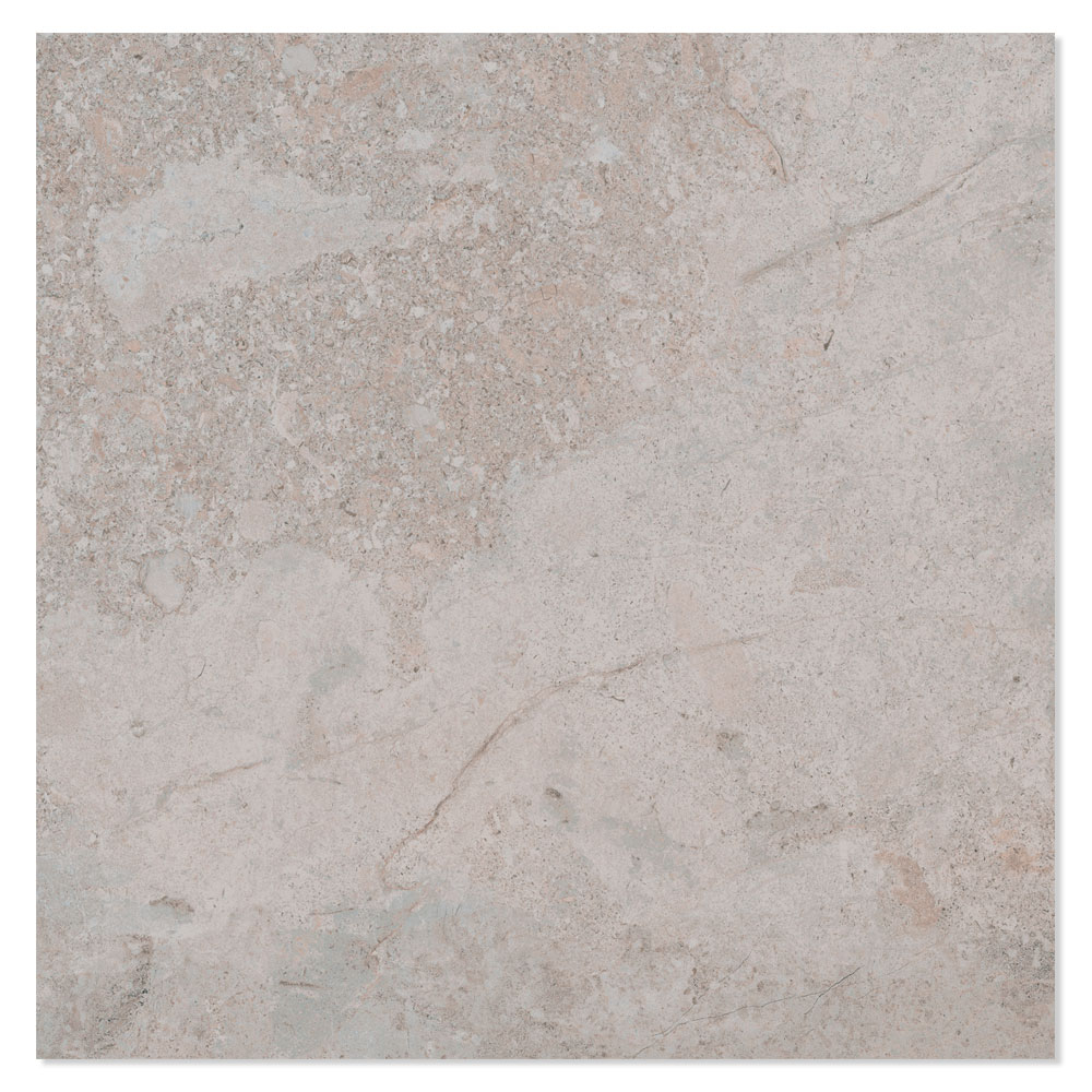 Gulvflis Biscay Ash Matt 60x60 cm