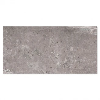 Gulvflis <strong>Biscay</strong>  Mørk Grå Matt 60x120 cm