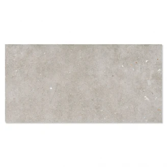 Gulvflis <strong>Glamstone</strong>  Grå Matt 60x120 cm