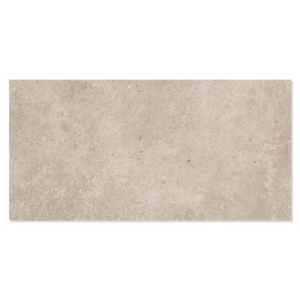 Gulvflis Vancastle Beige Matt 30x60 cm