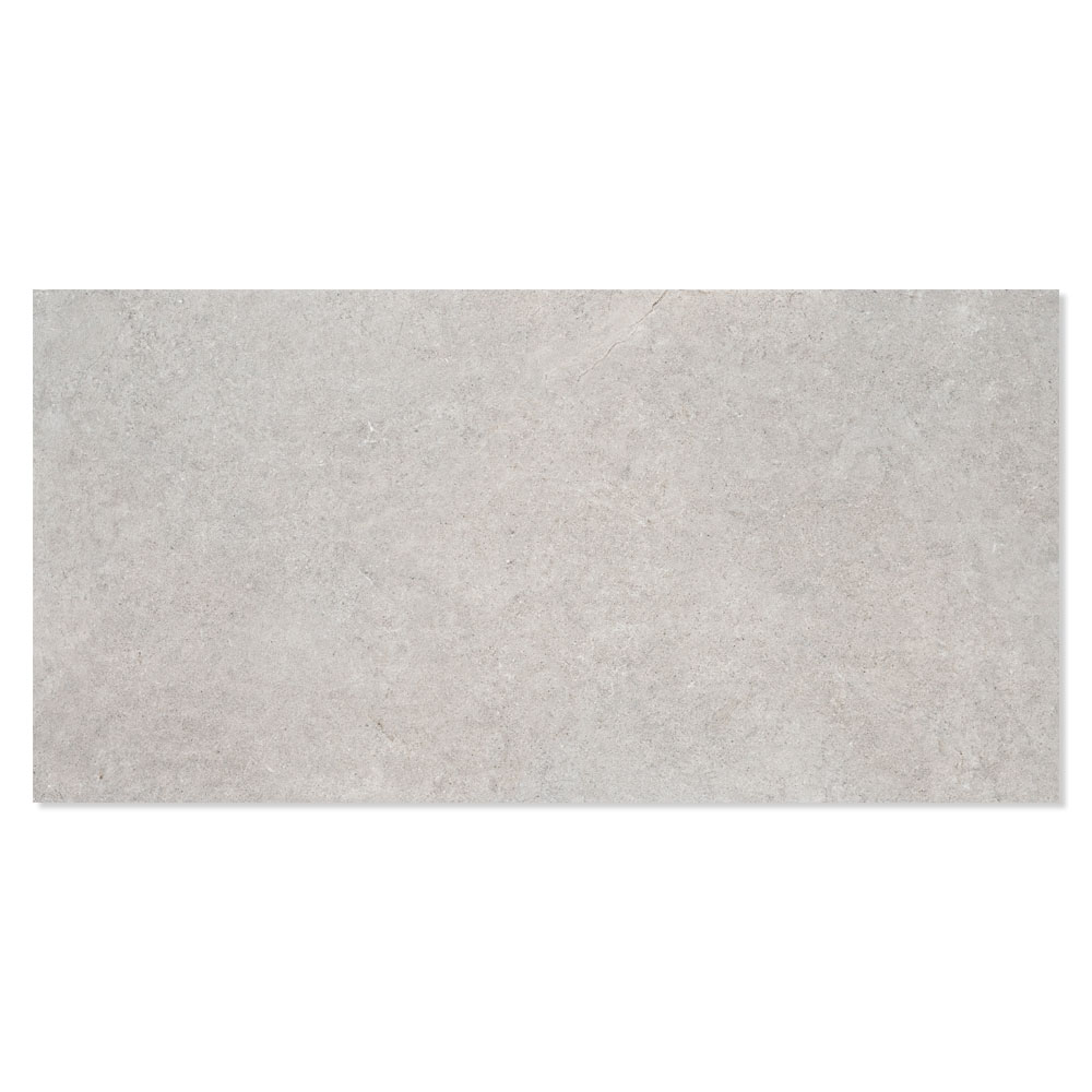 Gulvflis Epoch Grå Matt 60x120 cm