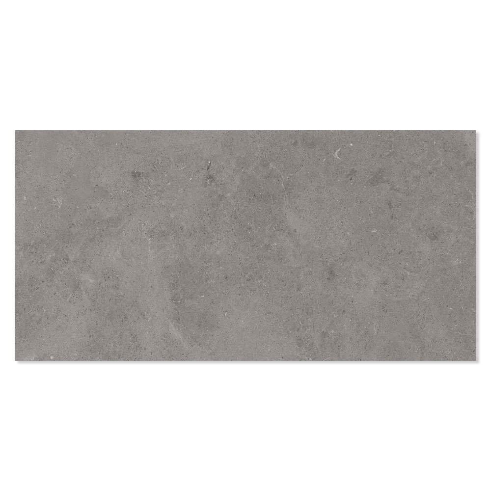 Gulvflis Wilderness Gray Matt 60x120 cm