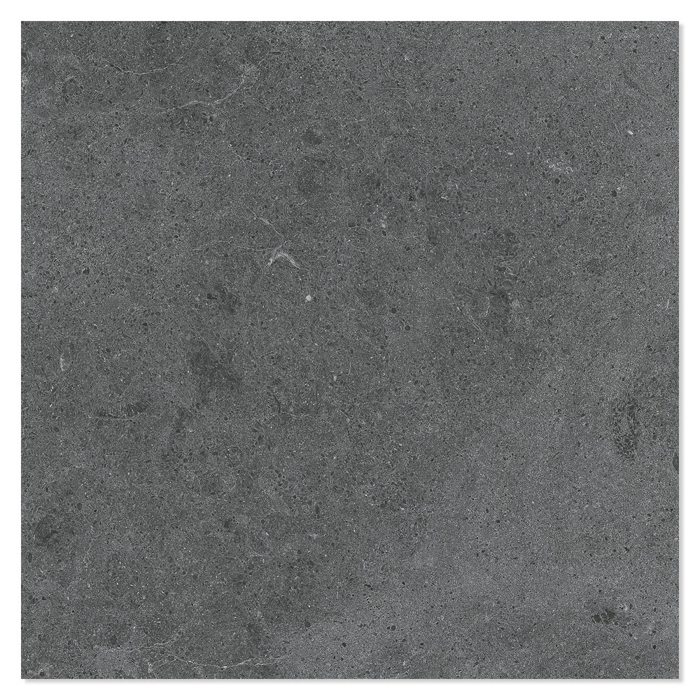 Gulvflis Wilderness Graphite Matt 60x60 cm