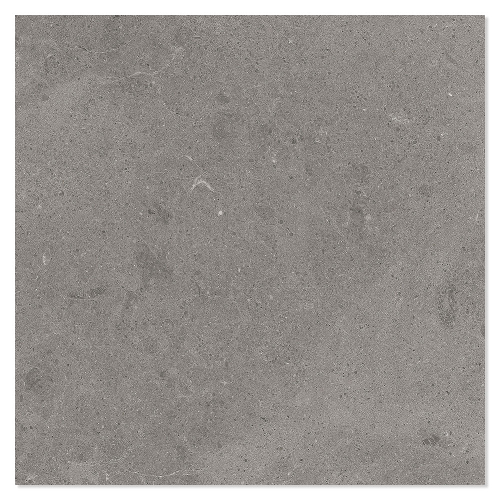 Gulvflis Wilderness Gray Matt 60x60 cm