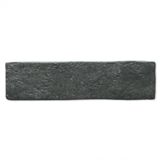 Beniterra