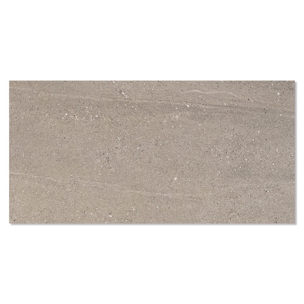Gulvflis Sandstorm Ljusbrun Matt 30x60 cm