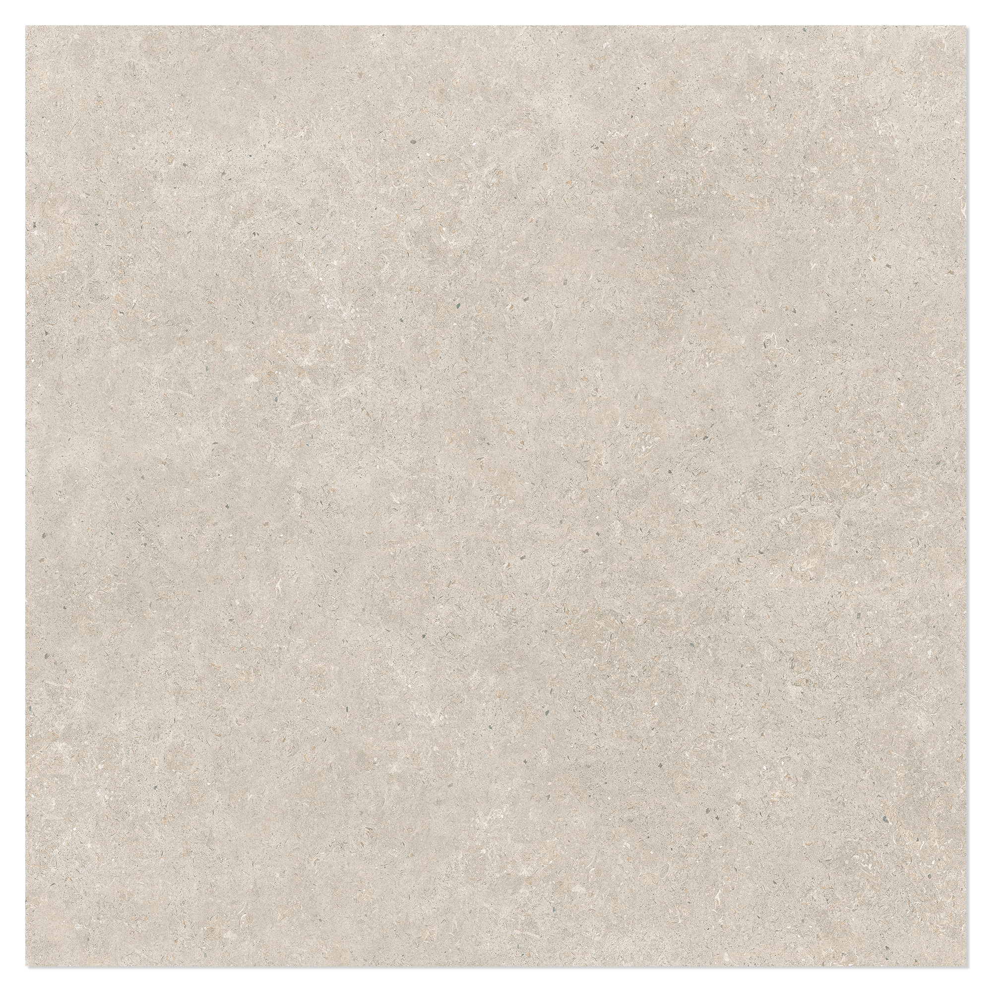 Gulvflis Kalksten Nord Beige Polert 100x100 cm