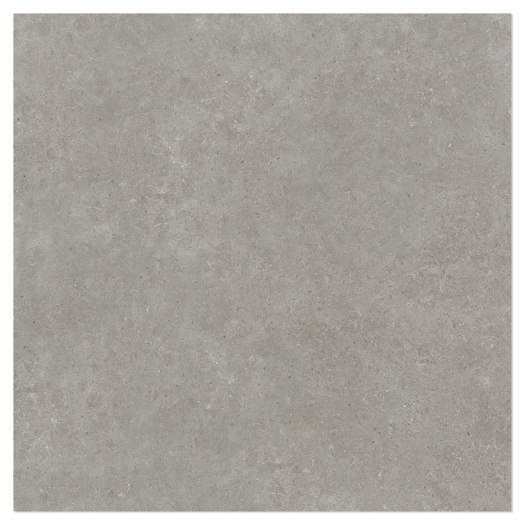 Gulvflis Kalksten Nord Grå Polert 100x100 cm