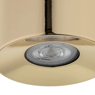 Spotlight Raya Ny Gull Blank S