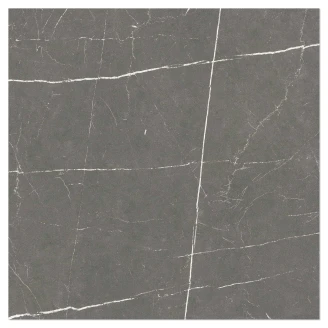 Marmor Gulvflis <strong>Marblelord</strong>  Mørk Grå Matt 60x60 cm