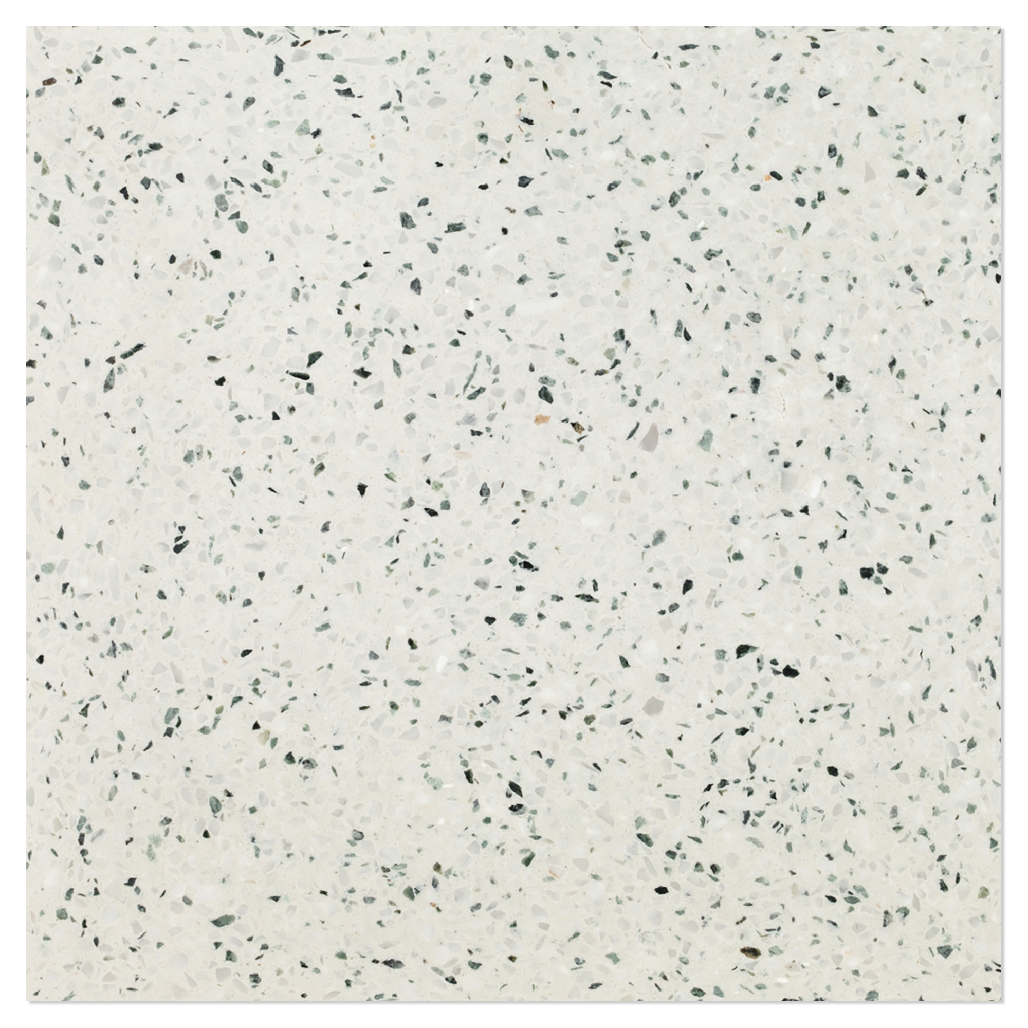 Terrazzo Graniglia Prezzemolo Polert 20x20 cm