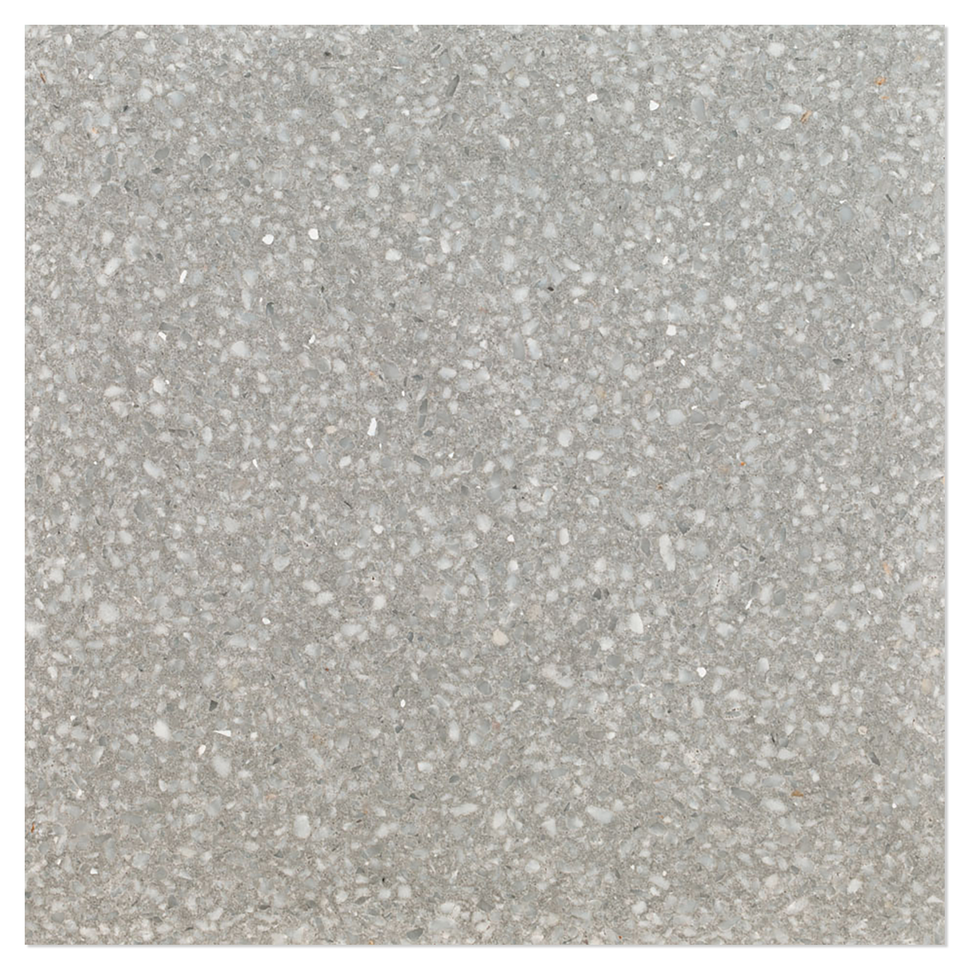 Terrazzo Graniglia Grigio Perla Polert 60x60 cm
