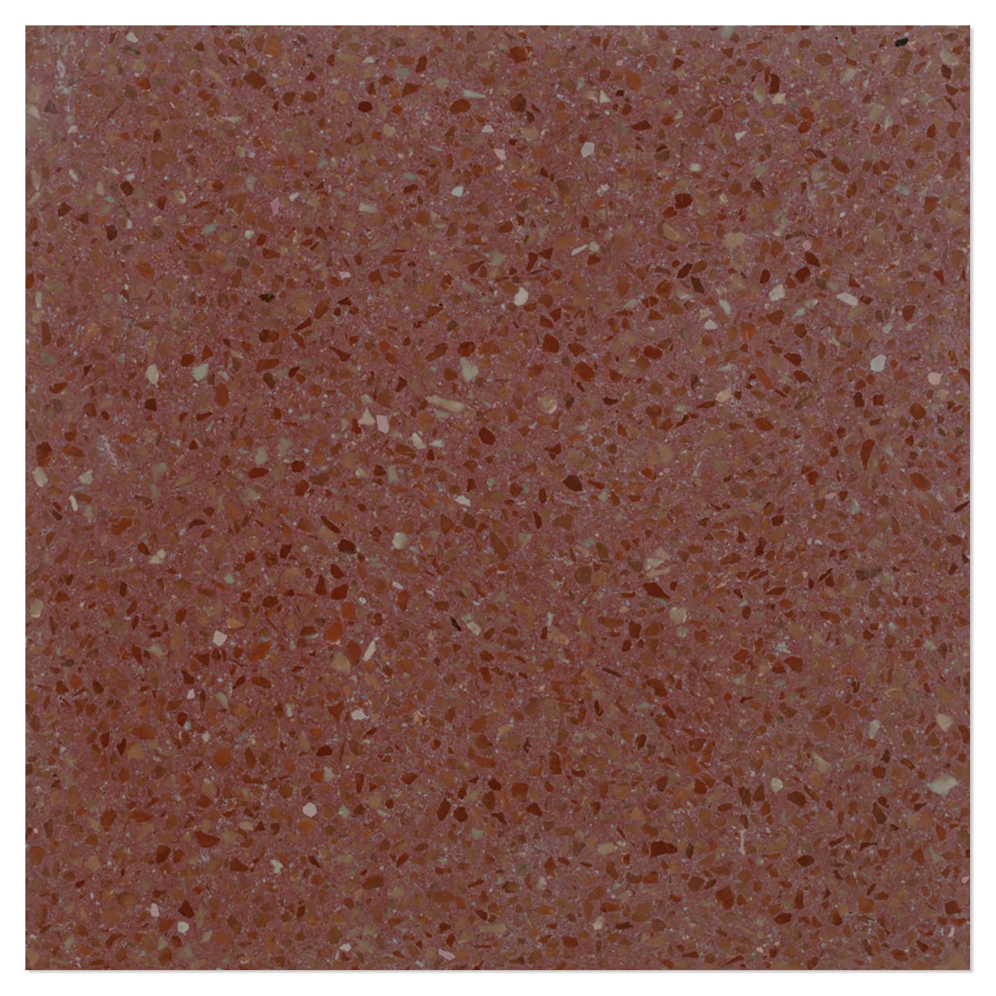 Terrazzo Graniglia Rosso Prugna Polert 20x20 cm