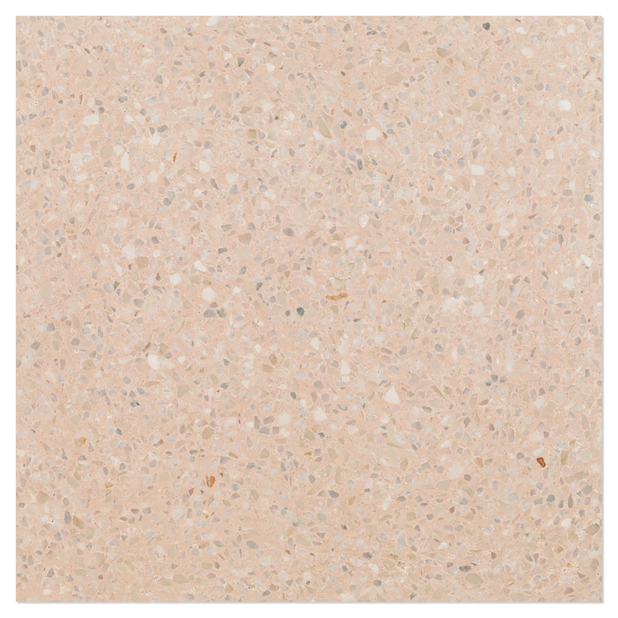 Terrazzo Graniglia Avorio Polert 20x20 cm