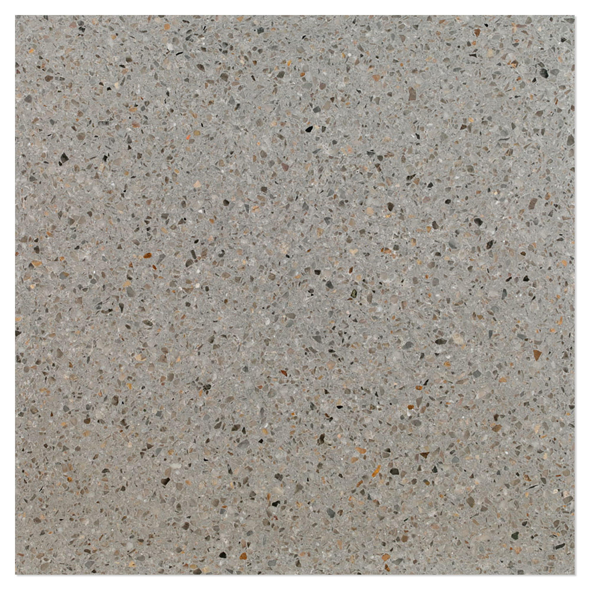 Terrazzo Graniglia Gatto di Galilea Polert 20x20 cm