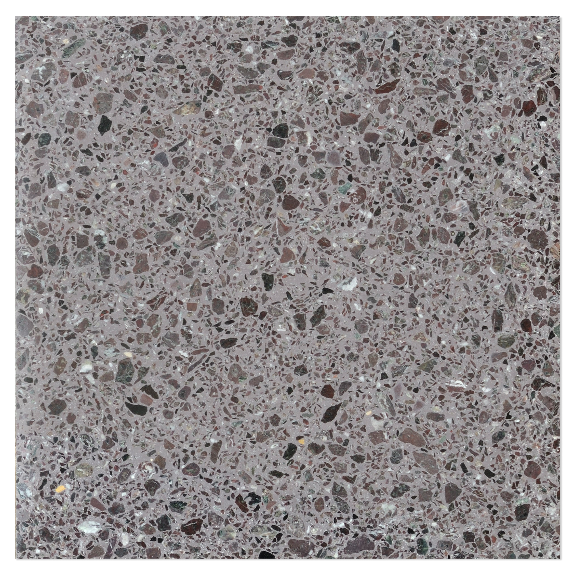 Terrazzo Fragmenta Levanto Screziato Polert 60x60 cm