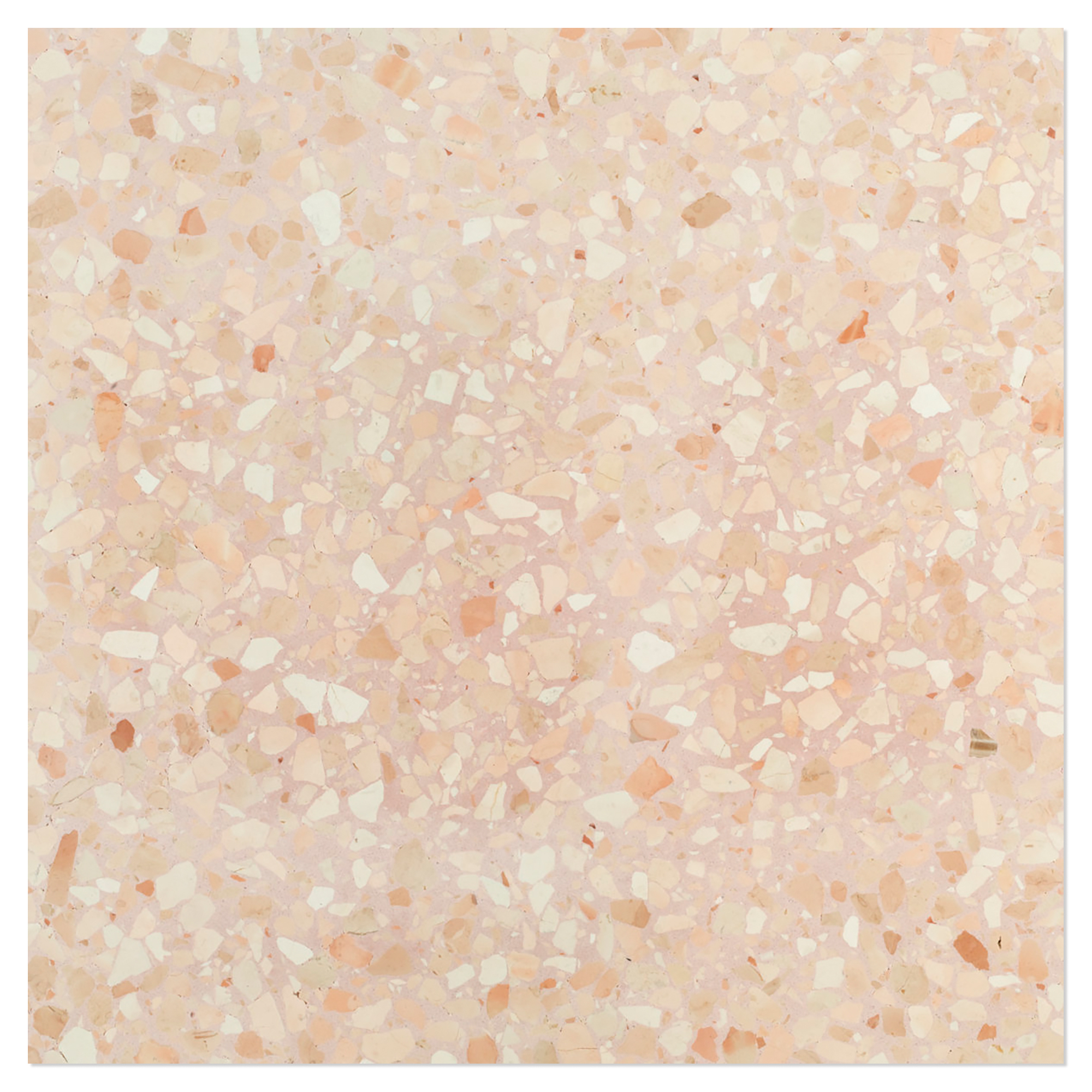 Terrazzo Gra Veneziana Corallo Polert 60x60 cm