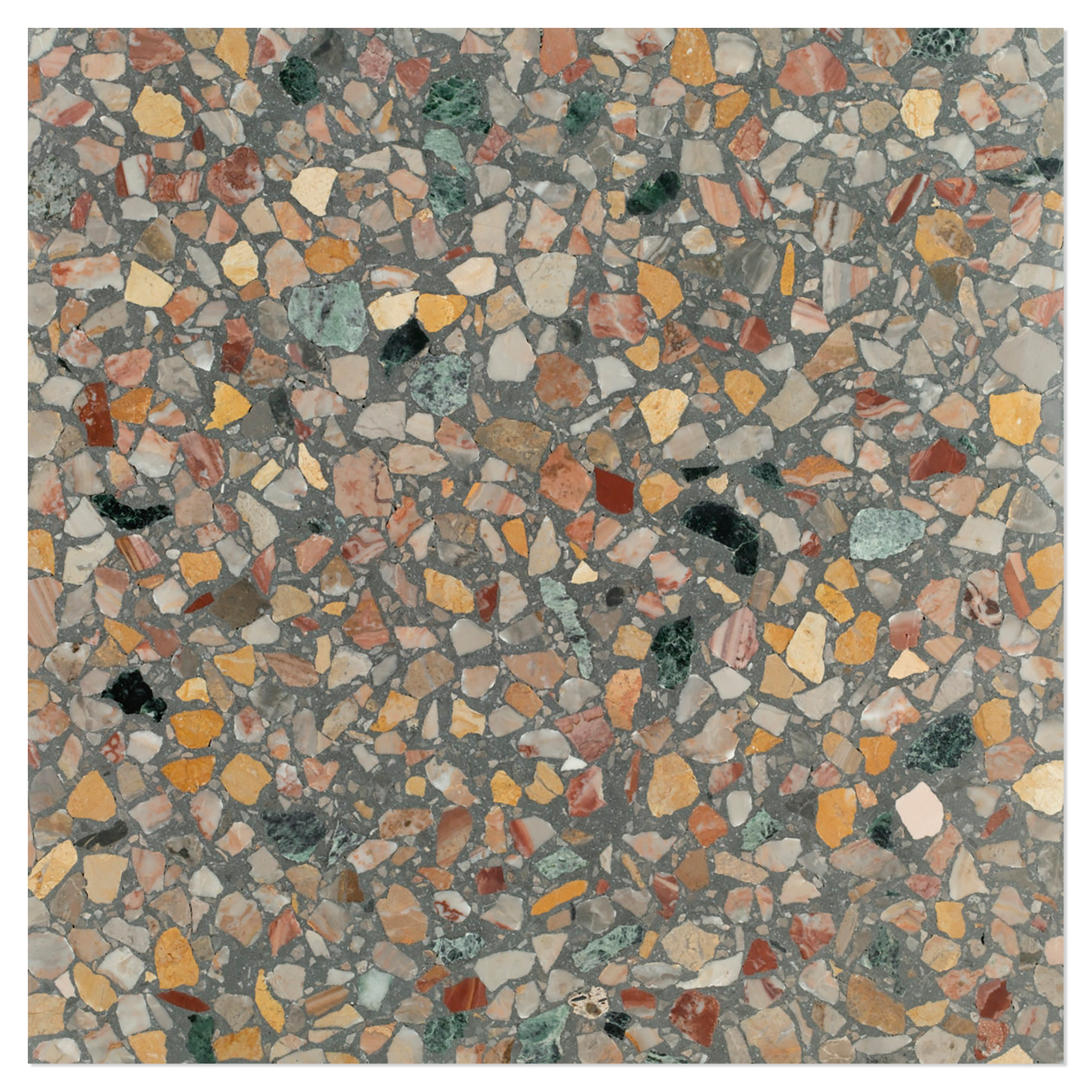 Terrazzo Gra Veneziana Arcobaleno Polert 60x60 cm