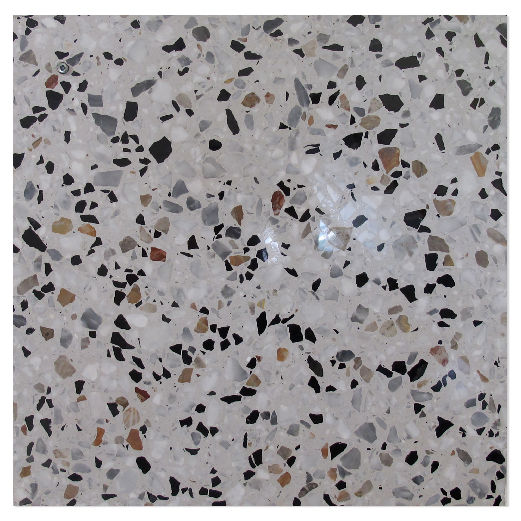 Terrazzo Gra Veneziana Grigio Venato Polert 60x60 cm
