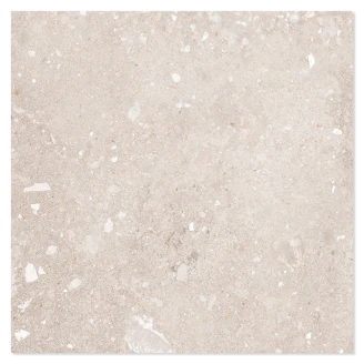 Gulvflis <strong>Saltsjö</strong>  Beige Matt 60x60 cm