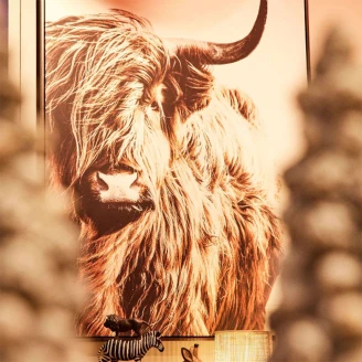 Werner Voss Bilde Highland Brun Matt