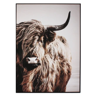 Werner Voss Bilde <strong>Highland</strong>  Brun Matt