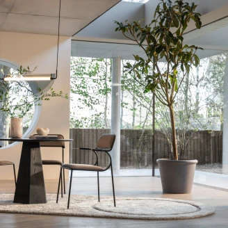 Zuiver Stol Alba Ny Beige, Svart