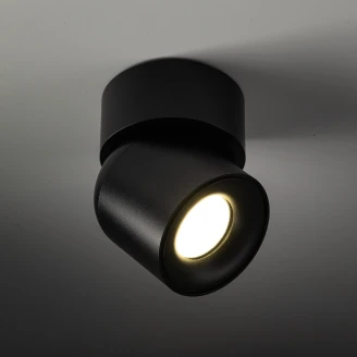 Spotlight <strong>Axion</strong>  Svart Matt