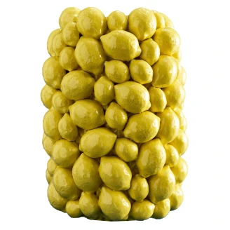 Werner Voss Vase Lemons Gul Blank
