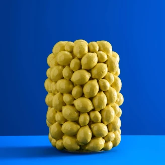 Werner Voss Vas Lemons Gul Blank