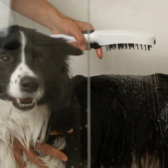 Ravak Hundedusj med Massagemunstycken