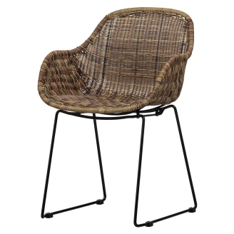 Woood Hagestol <strong>Willow</strong>  Natur
