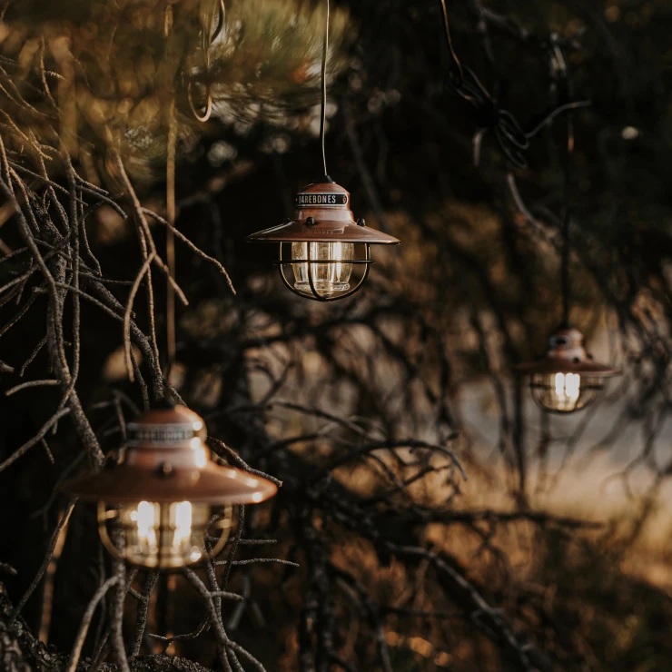 Barebones Hengende Lampe Trio Edison Kobber