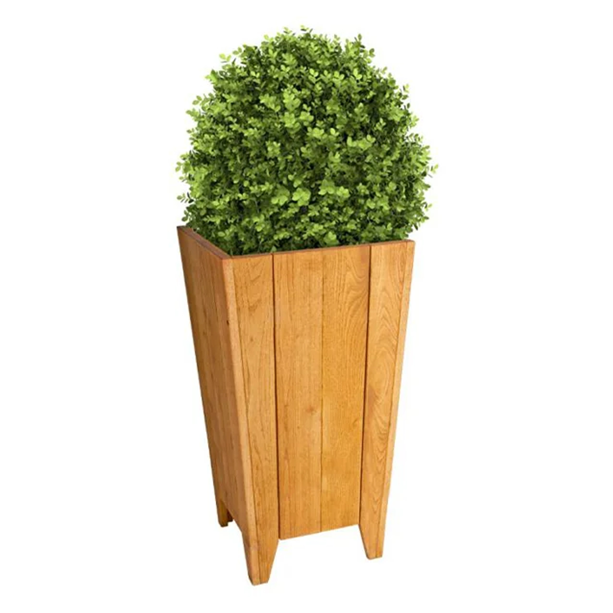 Krukke Wildfern Tre