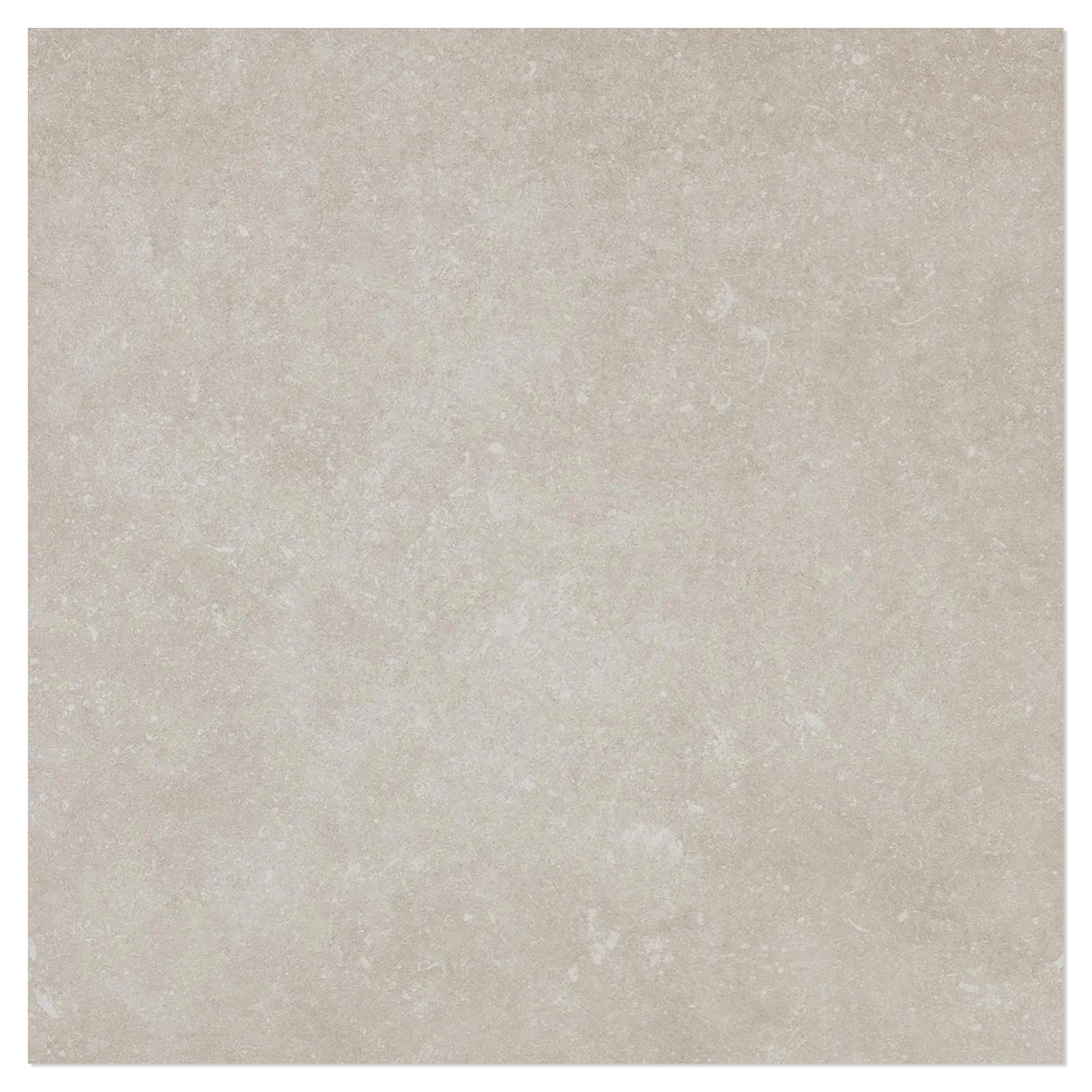 Gulvflis Nalin Beige Matt 120x120 cm