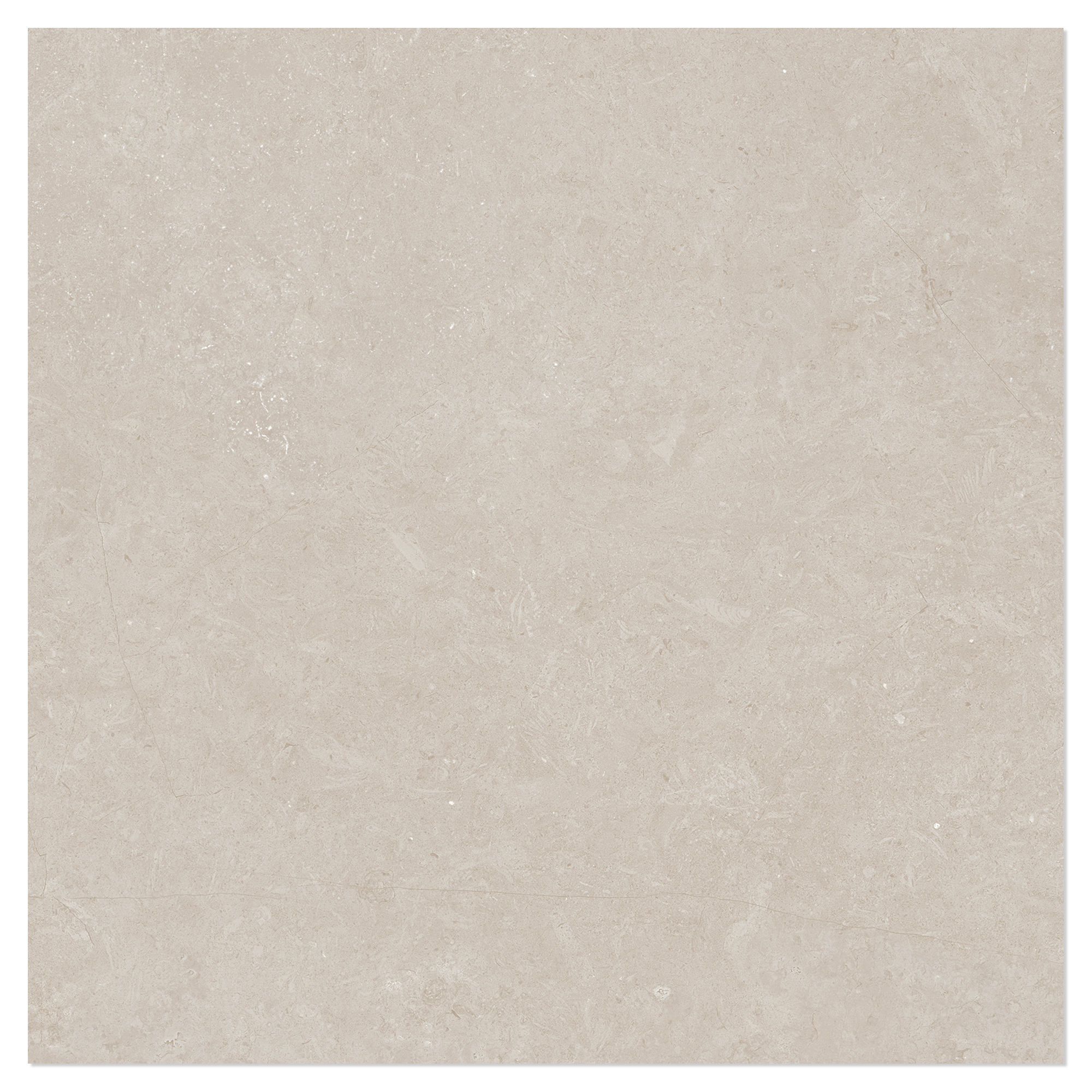 Gulvflis Kysten Beige Matt 61x61 cm