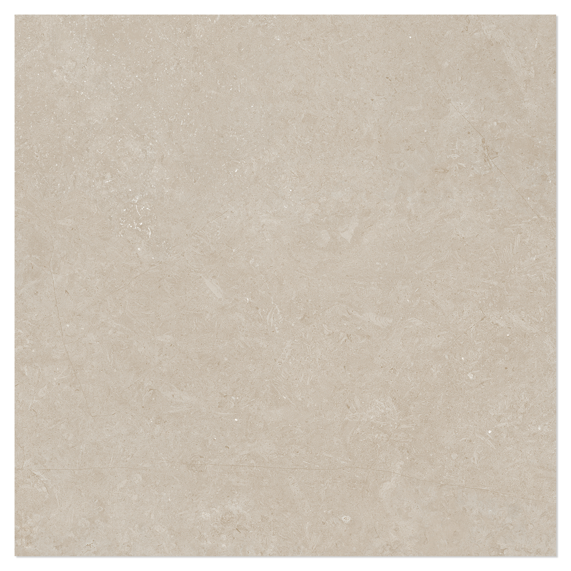 Gulvflis Kysten Gråbeige Matt 61x61 cm