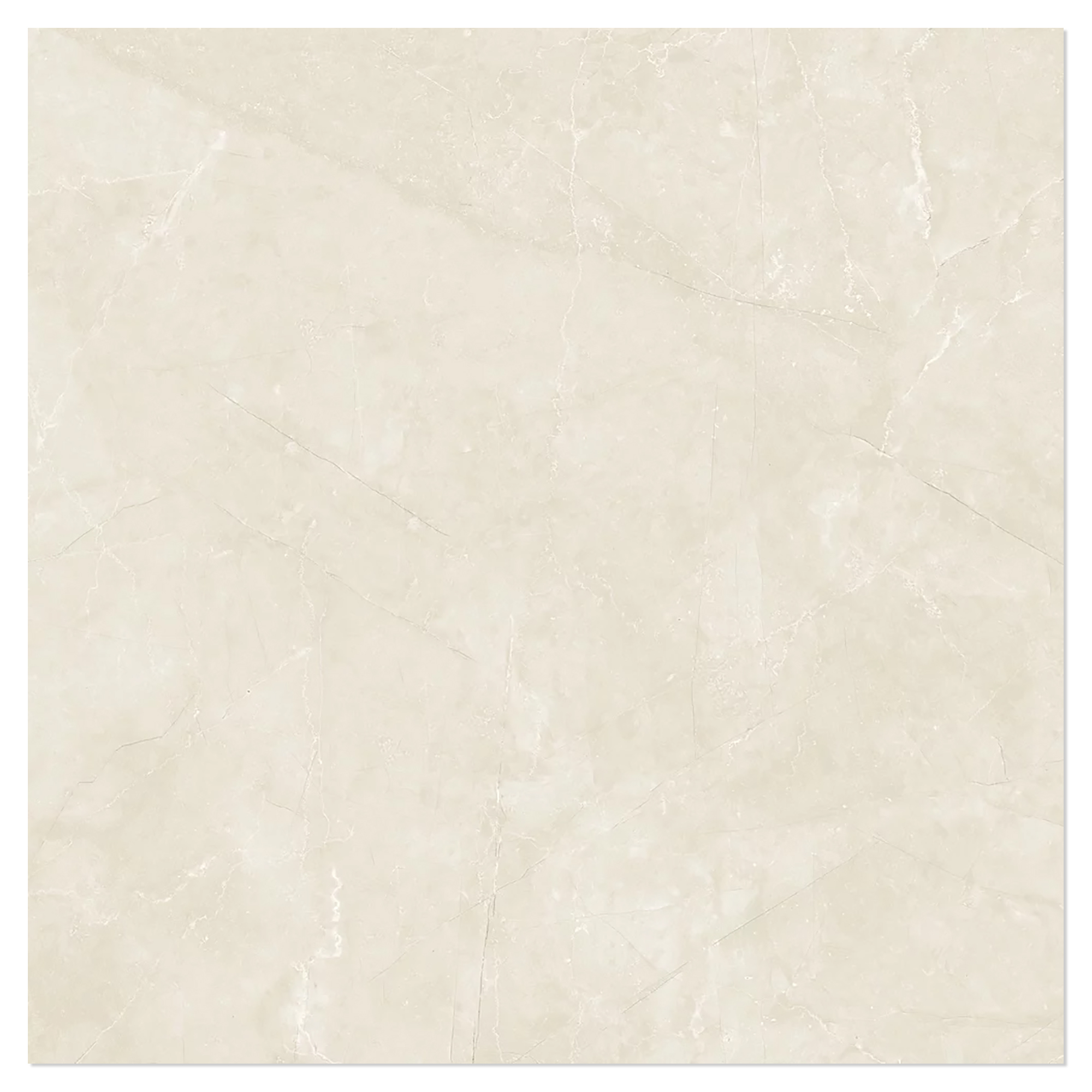 Marmor Gulvflis Miran Ivory Matt 100x100 cm