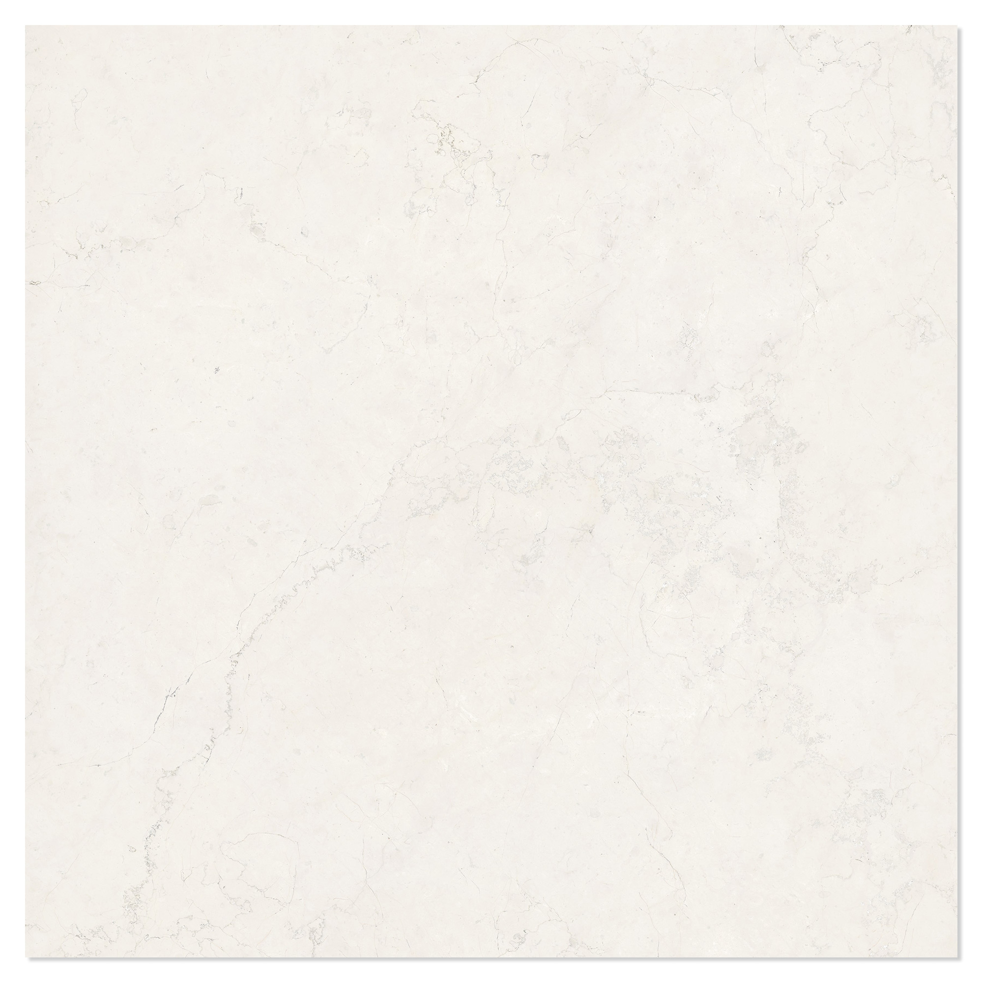 Marmor Gulvflis Alabia Hvit Polert 120x120 cm