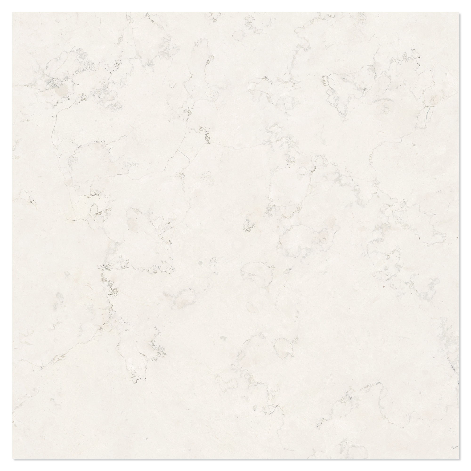 Marmor Gulvflis Alabia Hvit Polert 60x60 cm