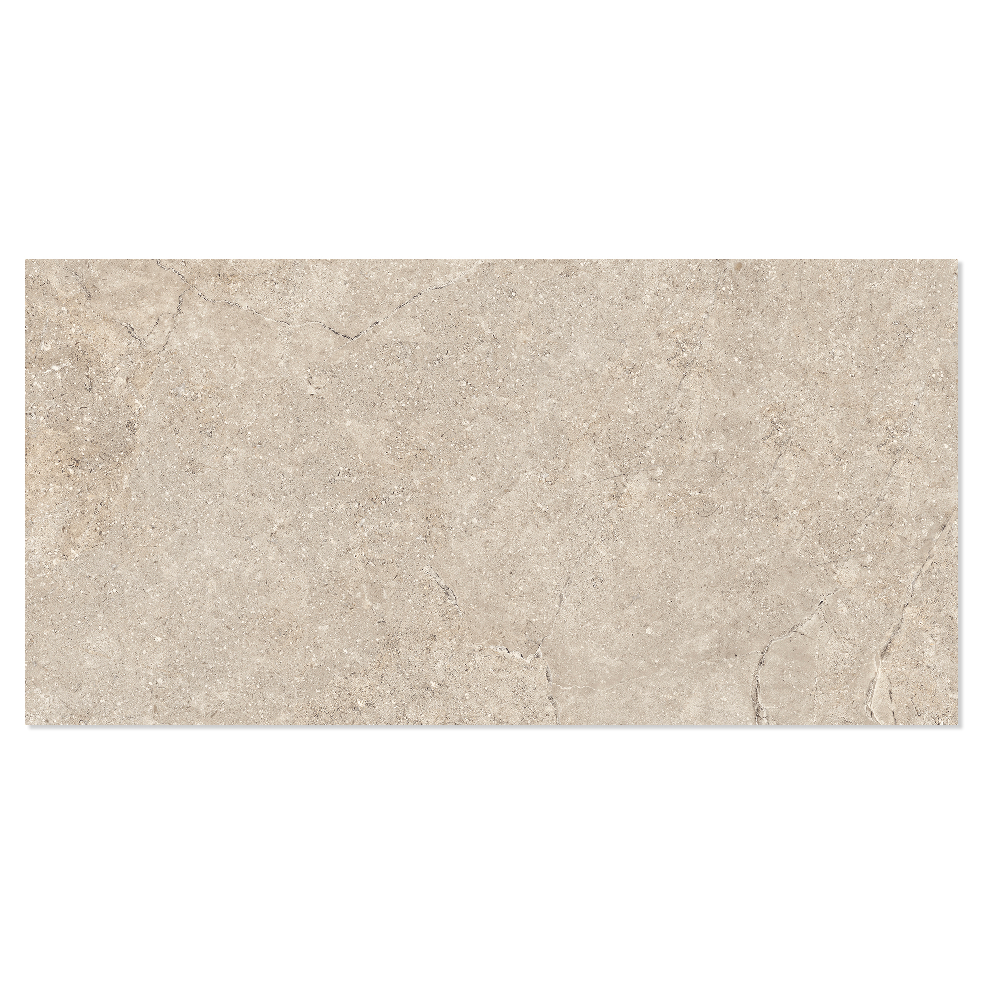 Gulvflis Rosethorn Mörkbeige Matt 30x61 cm