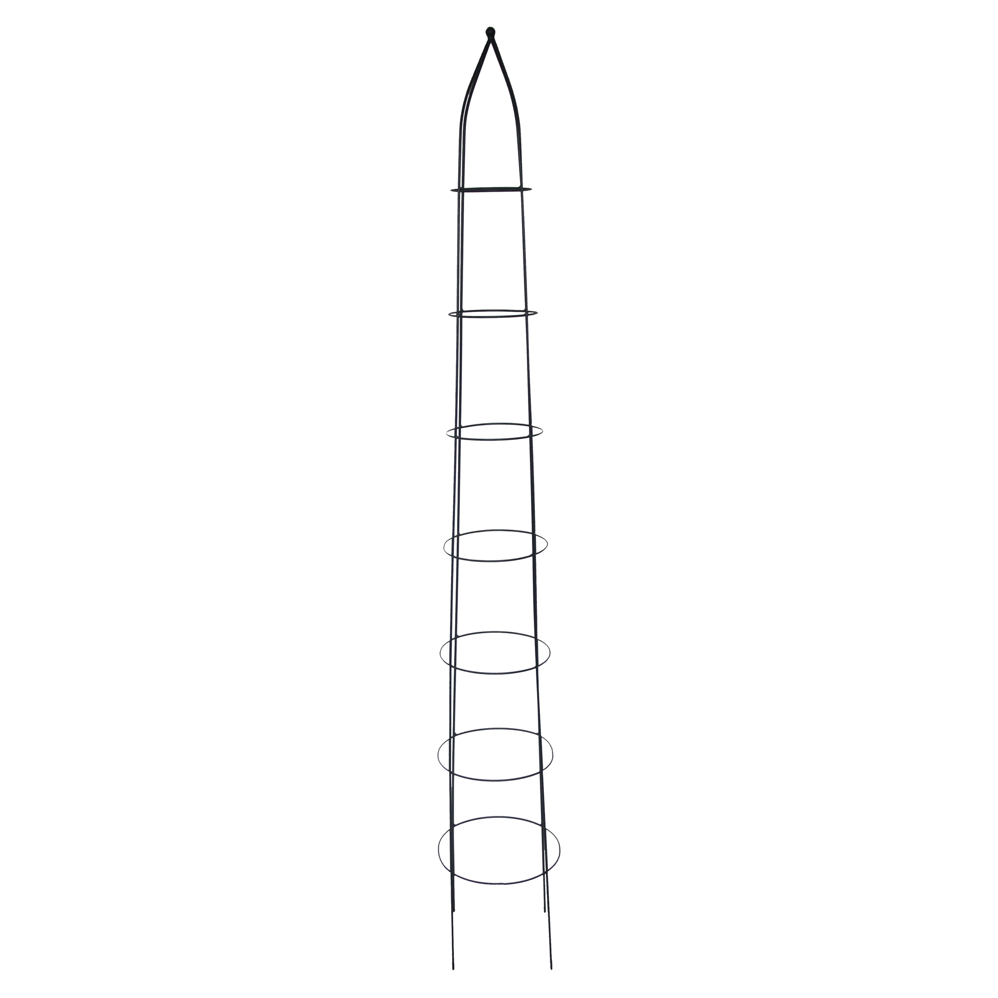 Plantestøtte L Evergreen Sort