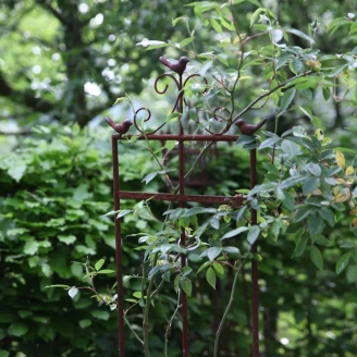 Plantestøtte S Romantica Rust