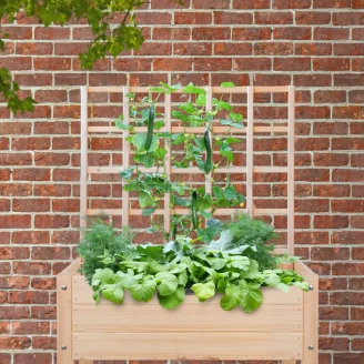 Greenfold